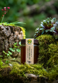 Bio-Honig Wald